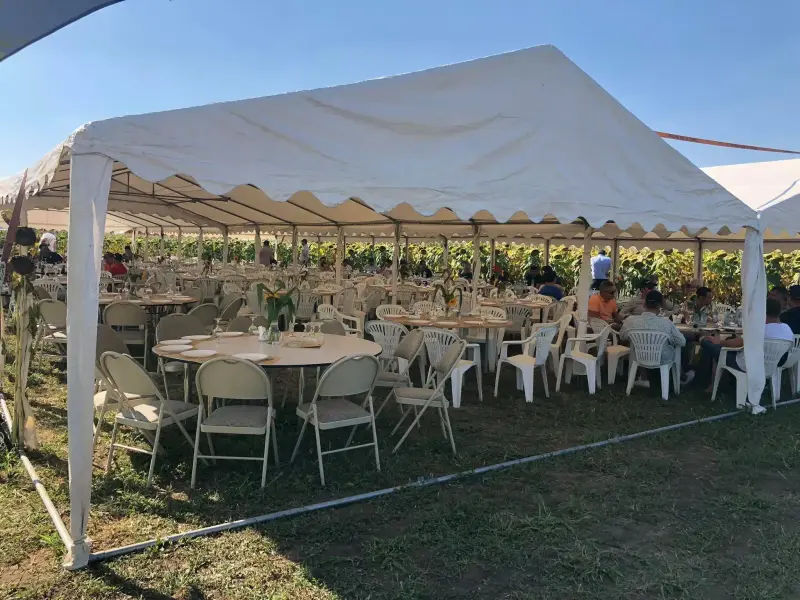 Restaurant nuntă Călărași – Popas Rustic Diana