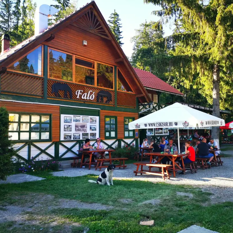 Restaurant nuntă Harghita – Restaurant Falo