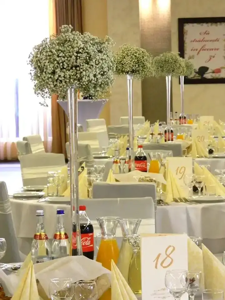 Restaurant nuntă Alba – Grupul Mercur